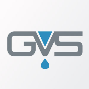 GVS